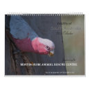 Search for turtle calendars Wildlife