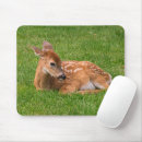 Search for young animal mousepads Animals in the wild