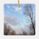 Search for storm christmas tree decorations Nature