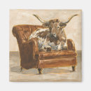 Search for steer magnets Cow