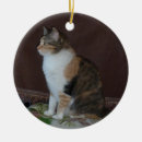 Search for calico kitten christmas tree decorations Feline