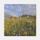 Search for glaciers magnets Landscape