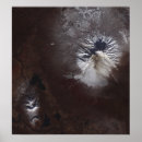 Search for caldera posters Satellite view