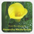 Search for yellow bookplates Green