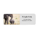 Search for africa return address labels Elephant