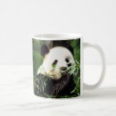 Search for best panda mugs Tea