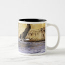 Search for scenic oregon mugs Jamie