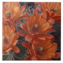Search for arid tiles Colourful