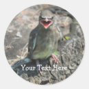 Search for birding stickers For kids