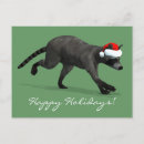 Search for raccoon christmas cards Racoon