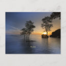 Search for international postcards Photograph