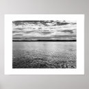Search for otters photography Nature
