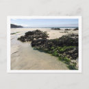 Search for rock pools Summer