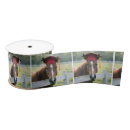 Search for graduation ribbon Red