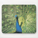 Search for tail feathers mousepads Outdoors