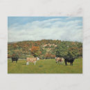 Search for cattles postcards Landscape