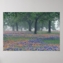 Search for expansion posters Landscape