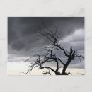 Search for storms postcards Tree