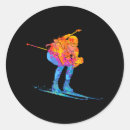 Search for biathlon stickers Skiing