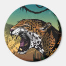 Search for jaguar magnets Spots