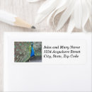 Search for peacock blue return address labels Colourful