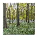 Search for beech home living Landscape