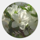 Search for azalea stickers White