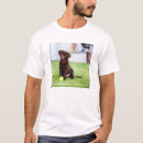 Search for chocolate labrador tshirts Animal