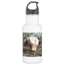 Search for cow water bottles Highland