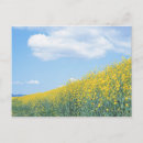 Search for wide angle postcards Outdoors