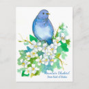 Search for mountain birds postcards Floral
