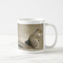 Search for cute squirrel pictures mugs Sweet