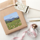 Search for mountain flower stickers Austria