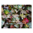 Search for anne of green gables art Lucy maud montgomery