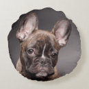 Search for french bulldog christmas cushions Pet