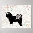 Search for tibetan terrier posters Pet