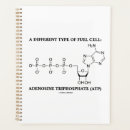 Search for atp Krebs cycle
