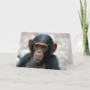 Search for primate cards Photography