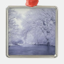 Search for frozen christmas tree decorations Environment