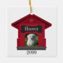 Search for couple with dog christmas tree decorations Dogs