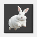 Search for happy bunny magnets Funny