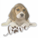 Search for beagle hound stickers Foxhound