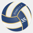 Search for blue volleyball stickers Sports