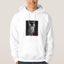 Search for kitty hoodies Cat