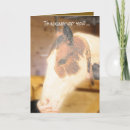 Search for horse sympathy cards Nature