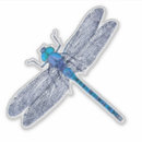 Search for dragonfly mini laptop cases Bug