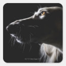 Search for profile stickers Studio shot