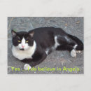 Search for funny cat sayings postcards Animal
