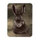 Search for hares magnets Forest