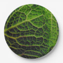 Search for cabbage plates Vegetables